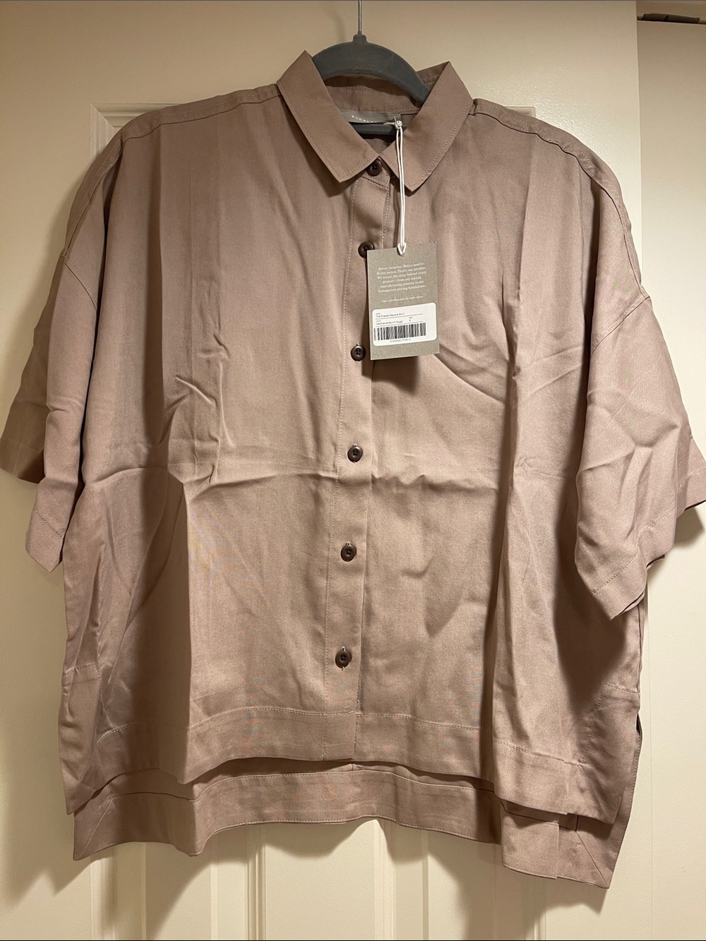 Everlane Taupe Short-Sleeve Button-Front Shirt